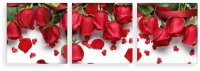 

Картина модульная Citydecor, 3.40