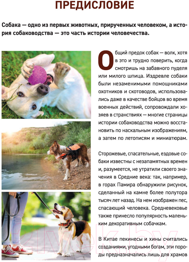 Энциклопедия Эксмо Все породы собак