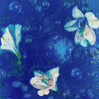 Бомбочка для ванны Savonry Морские водоросли (145г)