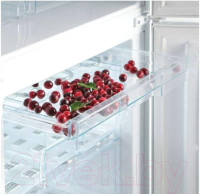 Холодильник с морозильником Snaige RF56SM-S5RB2F