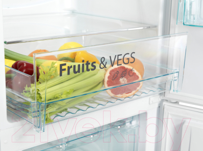 Холодильник с морозильником Snaige RF53SM-P5002E