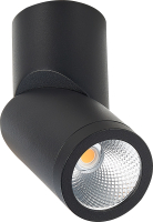 Потолочный светильник ST Luce ST650.432.10 - 