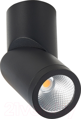 Потолочный светильник ST Luce ST650.432.10