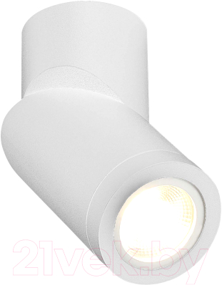 Потолочный светильник ST Luce ST650.502.01