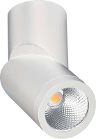 Потолочный светильник ST Luce ST650.532.10 - 