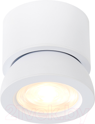 Потолочный светильник ST Luce ST654.532.10