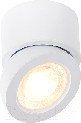 Потолочный светильник ST Luce ST654.532.10