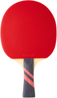 Ракетка для настольного тенниса Roxel Nexus (коническая) - 