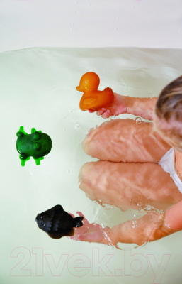 Набор игрушек для ванной Hevea Pond Animals (цветной)