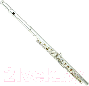 Флейта Yamaha YFL-212 BYFL212