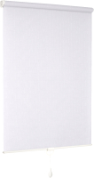 Рулонная штора Delfa Сантайм Лен СРШП-05В 2800 (48x170, белый) - 