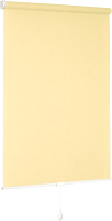 Рулонная штора Delfa Сантайм Лен СРШП-05В 2875 (48x170, шампань) - 