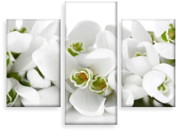 

Картина модульная Citydecor, 5.32