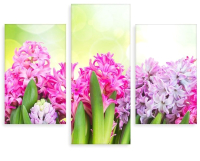 

Картина модульная Citydecor, 5.37