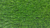 Искусственная трава Greenery Lawn NQS-1812 18мм (2x3.5м) - 