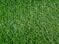 Искусственная трава Greenery Lawn SALG-2516 25мм (2х0.5м) - 