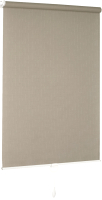 Рулонная штора Delfa Сантайм Лен СРШП-05В 2404 (68x170, серый) - 