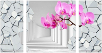 

Картина модульная Citydecor, 6.41