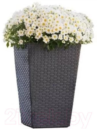 Кашпо Keter Medium Rattan Planter / 228974