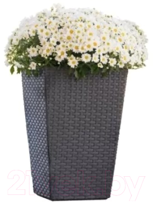 Кашпо Keter Medium Rattan Planter / 228974 (графит)