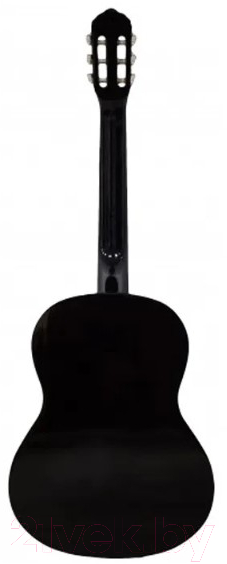 Акустическая гитара Belucci BC3905 BK
