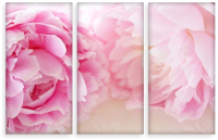 

Картина модульная Citydecor, 7.93