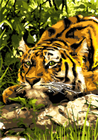 

Картина по номерам Lori, Тигр в джунглях / Кпн-137