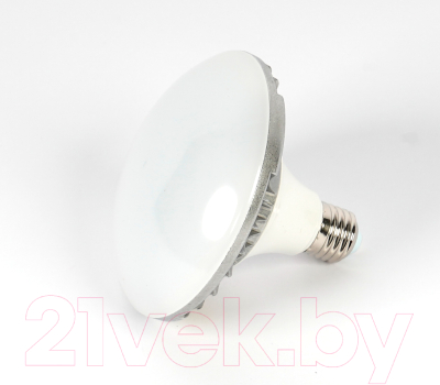 Лампа FST L-E27-LED30 / ут-00000807
