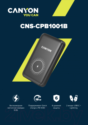 Портативное зарядное устройство Canyon PB-1001 / CNS-CPB1001B (черный)