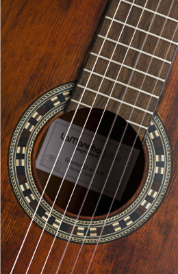 Акустическая гитара La Mancha Granito 32-N-SCR