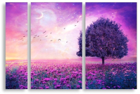 

Картина модульная Citydecor, 11.15