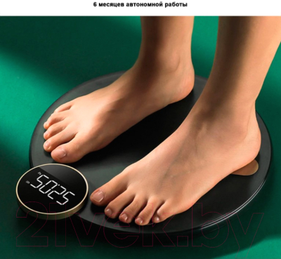 Напольные весы электронные Haylou CM01 (темно-зеленый)