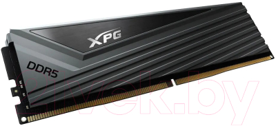 Оперативная память DDR5 A-data AX5U6000C3016G-DCCAGY