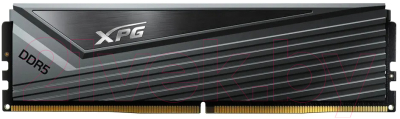 Оперативная память DDR5 A-data AX5U6000C3016G-DCCAGY