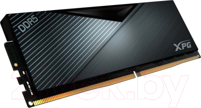 Оперативная память DDR5 A-data AX5U5200C3816G-DCLABK