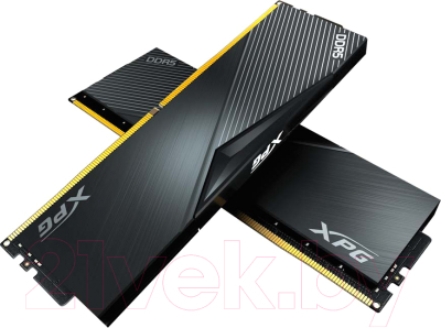 Оперативная память DDR5 A-data AX5U5200C3816G-DCLABK