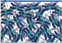 

Папка-конверт, Neon Dragonflies / 55347