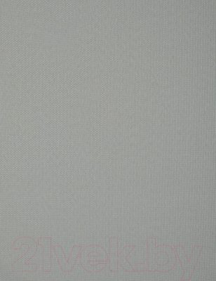 Рулонная штора Delfa Сантайм Роял СРШП-05В 2816 (62x170, серый)