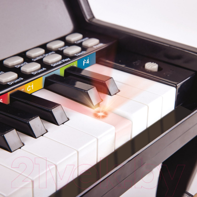 Музыкальная игрушка Hape Пианино с табуреткой / E0629_HP (черный)