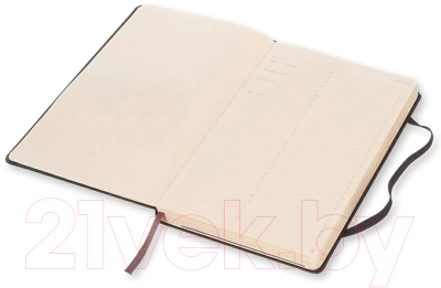 Записная книжка Moleskine Professional Large / 396408 (черный)