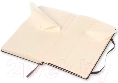 Записная книжка Moleskine Professional Large / 396408 (черный)