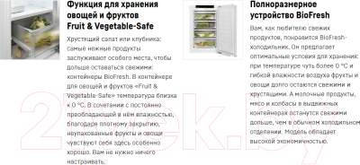 Встраиваемый холодильник Liebherr IRBd 4151