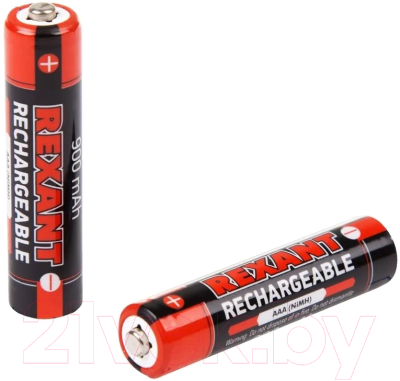 Комплект батареек Rexant 30-1409 (2шт)