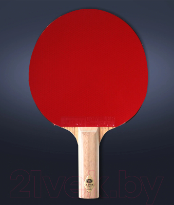 Ракетка для настольного тенниса Gambler Zebrawood Classic Volt M / GRC-2 (прямая)