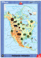 

Пазл Step Puzzle, Северная Америка. IQ Step / 80457