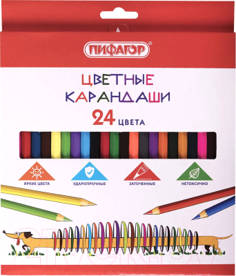 Набор цветных карандашей Пифагор Веселая такса / 181808 (24цв)