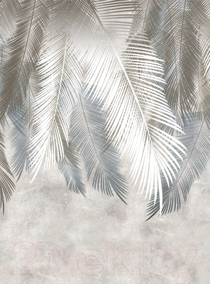 Фотообои листовые Vimala Листья пальмы (270x200)
