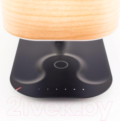 Прикроватная лампа Citilux Ньютон CL803042