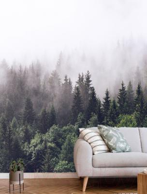 Фотообои листовые Vimala Лес в тумане (270x300)