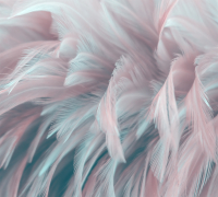 Фотообои листовые Vimala 3D перья (270x300) - 